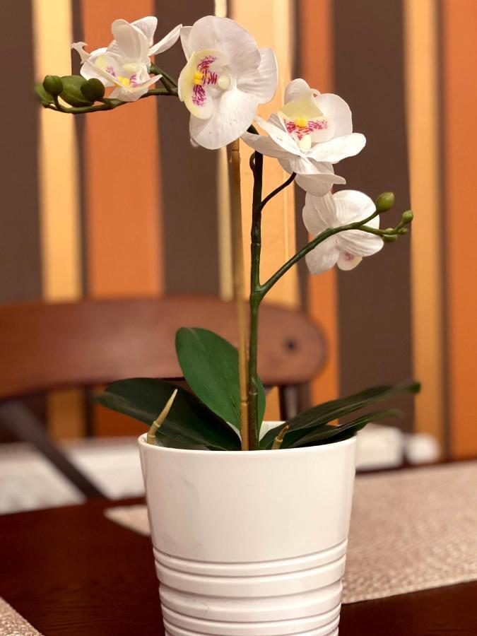 Cismigiu Grand Residence 布加勒斯特 外观 照片